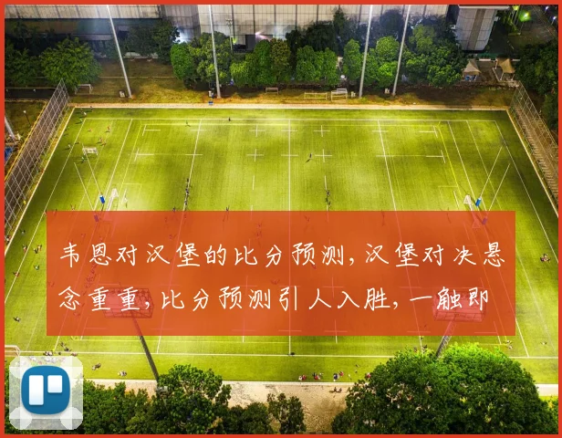 韦恩对汉堡的比分预测,汉堡对决悬念重重,比分预测引人入胜,一触即发