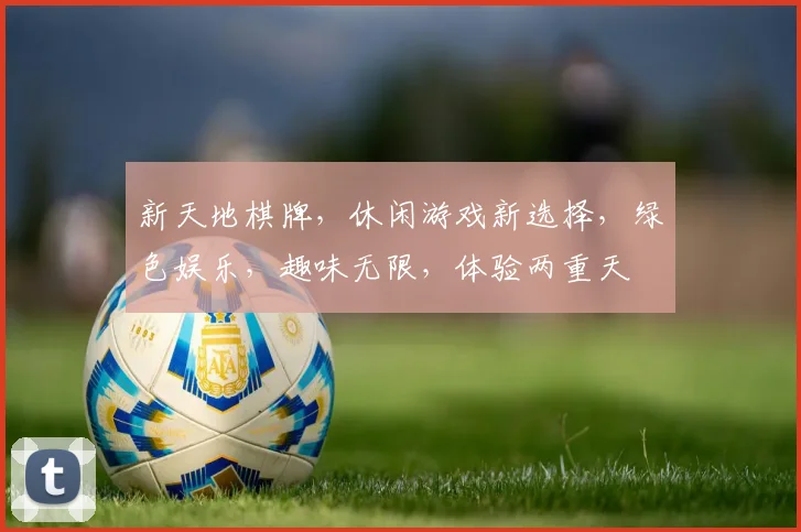 新天地棋牌，休闲游戏新选择，绿色娱乐，趣味无限，体验两重天