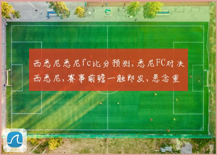 西悉尼悉尼fc比分预测,悉尼FC对决西悉尼,赛事前瞻一触即发,悬念重重